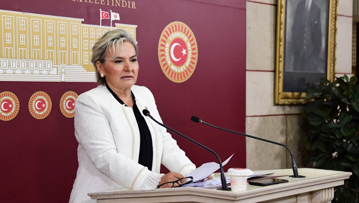 İYİ Partili milletvekili Nimet Özdemir istifa etti İYİ Partili milletvekili Nimet Özdemir istifa etti