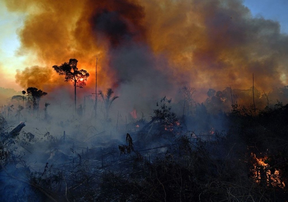 Amazon ormanlarında 14 yıl sonra en büyük kayıp: Haziran ayında rekor alan kül oldu - 5