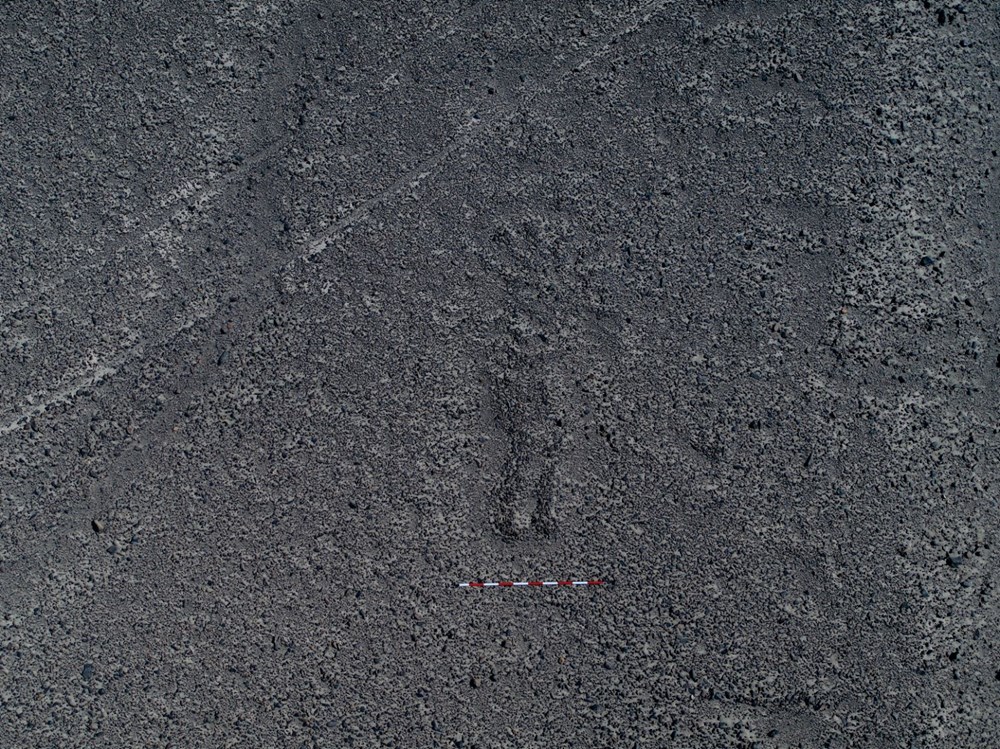 Peru'da 100'den fazla yeni Nazca jeoglifi keşfedildi - 20