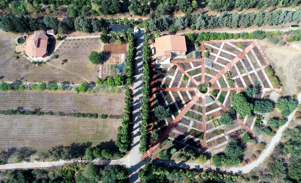 Sakın barbunya sanıp yemeyin! (Siyanürden 6 bin kat daha zehirli) - 7