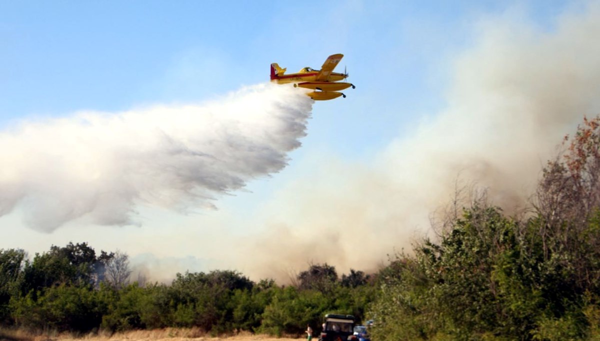 Kırklareli'de anız yangını ormana sıçradı