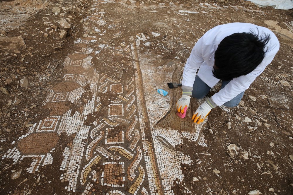 Mardin'de kurtarma kazısında deniz canlıları figürlü mozaikler bulundu - 10