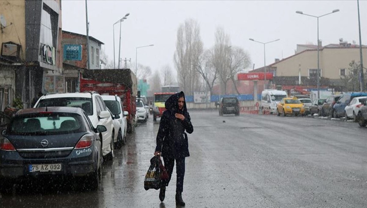 Ardahan'a mayıs karı düştü