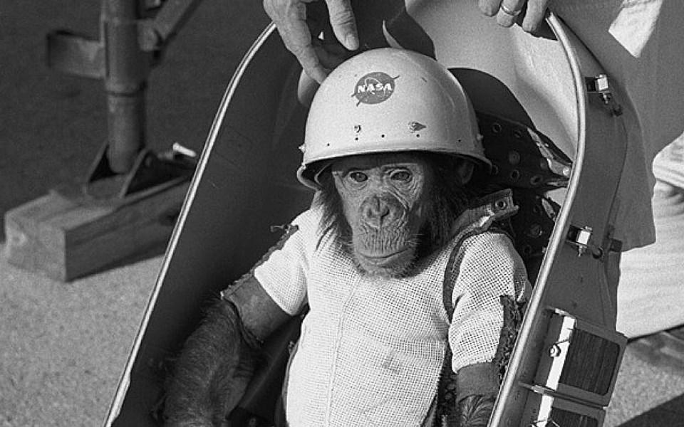 NASA, sadece bir günde araştırma merkezinde bulunan 27 maymunu öldürdü - 1