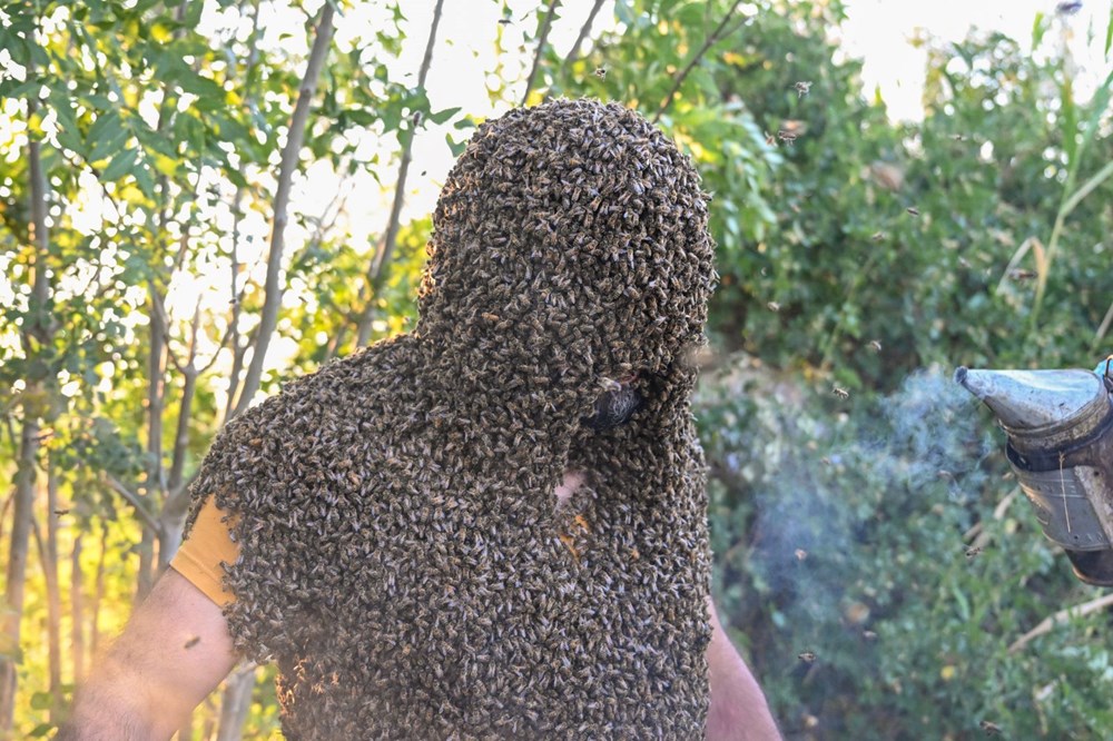 "Arı Adam"ın Guinness Rekorlar Kitabı hayaline ramak kaldı - 13