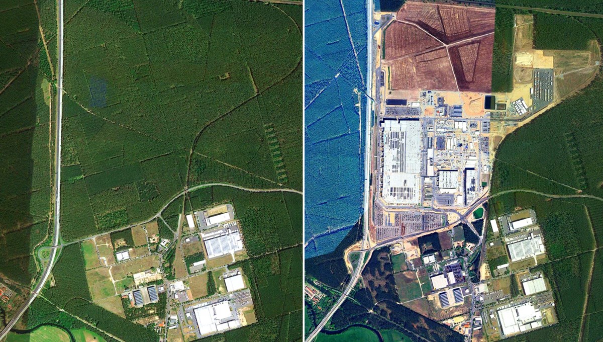 Tesla fabrikası ormanları yok etti! 500 bin ağaç kesildi