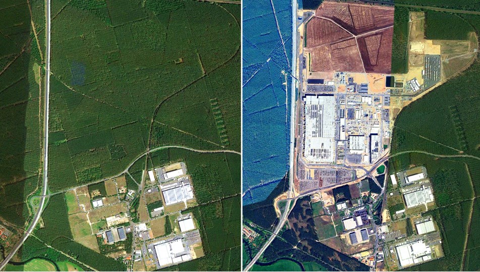 Tesla fabrikası ormanları yok etti! 500 bin ağaç kesildi