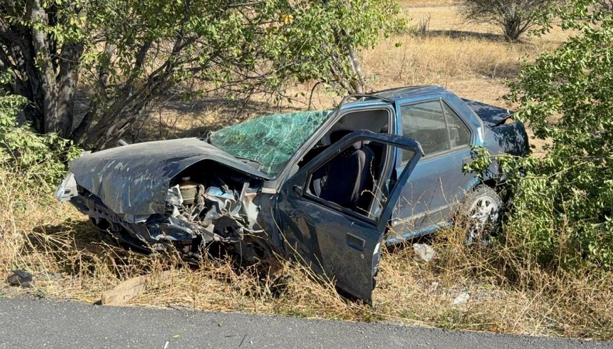 Ağaca çarparak takla attı