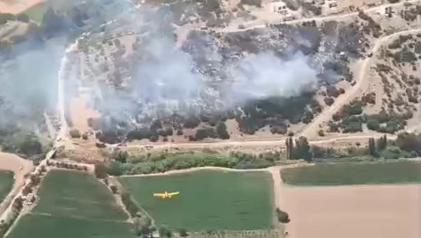 Milas'taki yangın kontrol altına alındı