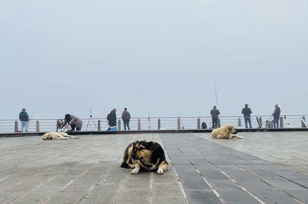 İstanbul'da güne sisle uyandı - 13