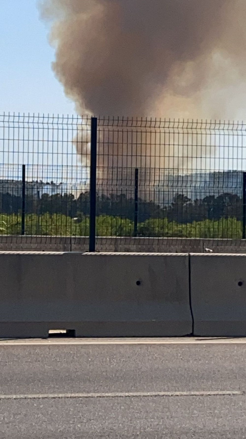 Bursa, Muğla ve Antalya'da orman yangını - 10