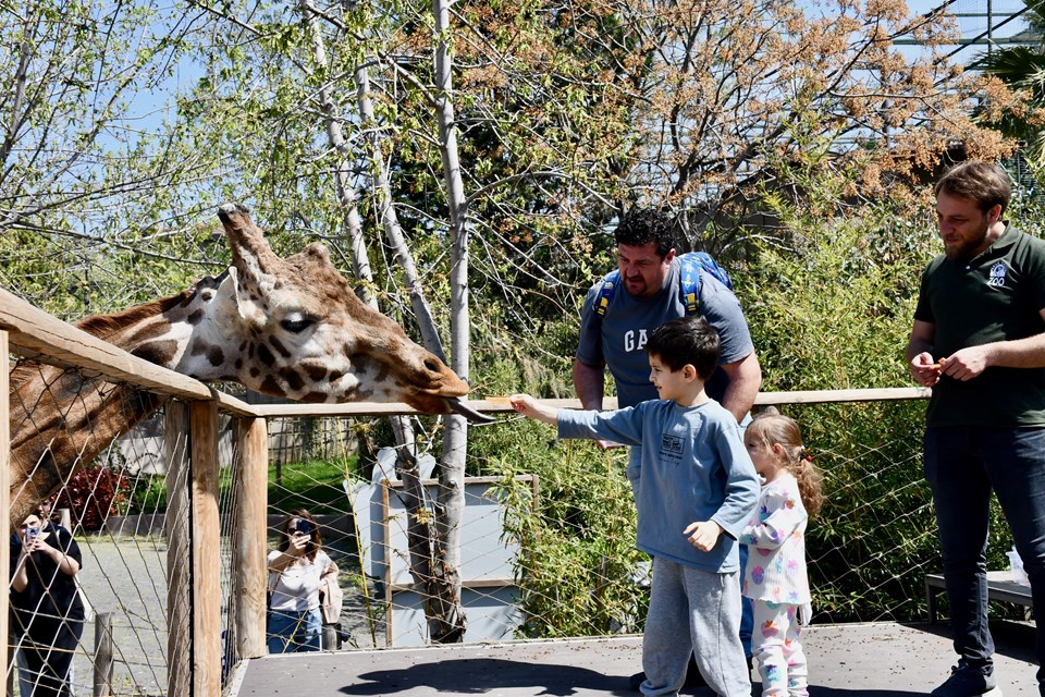 Kocaeli'deki hayvanat bahçesi bayramda ziyaretçilerini ağırlamaya hazır - 1