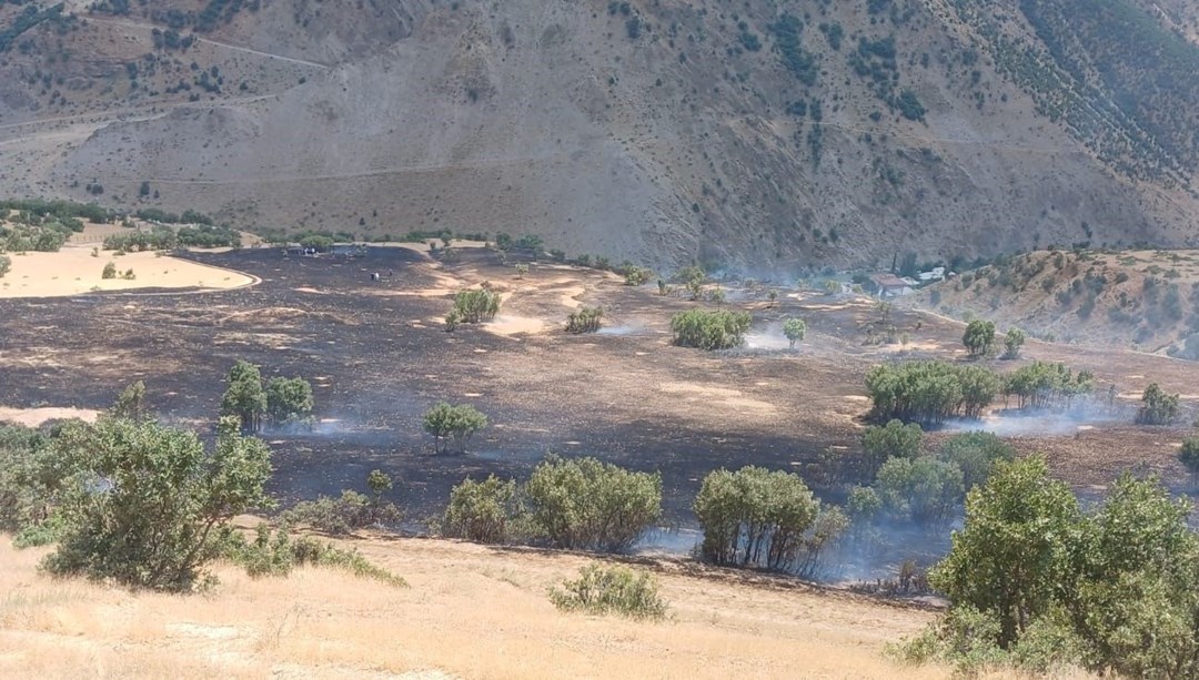 Hakkari’de anız yangını