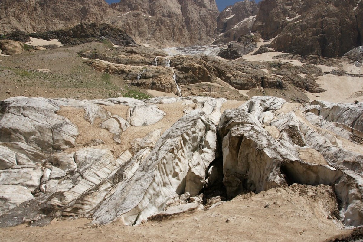 Hakkari'de korkutan tablo! Anadolu'nun en eski tanıkları, son 30 yılda yüzde 50'den fazlası yok oldu