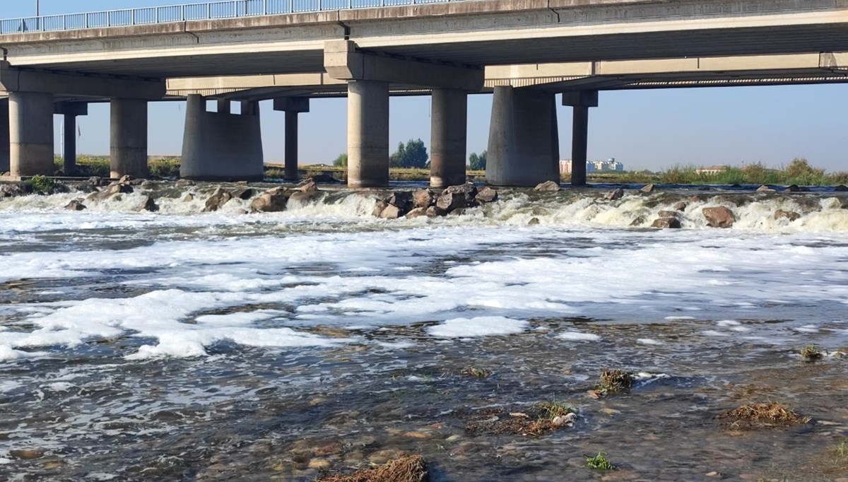 Dicle Nehri'nde 