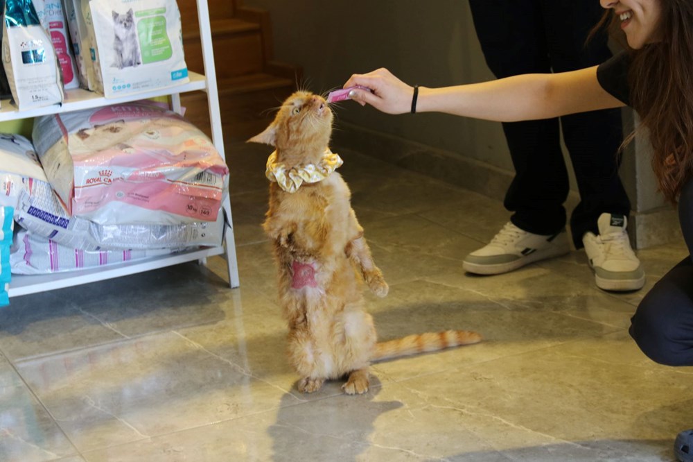 NOaWPgBh UGAqvguJHmPDQ