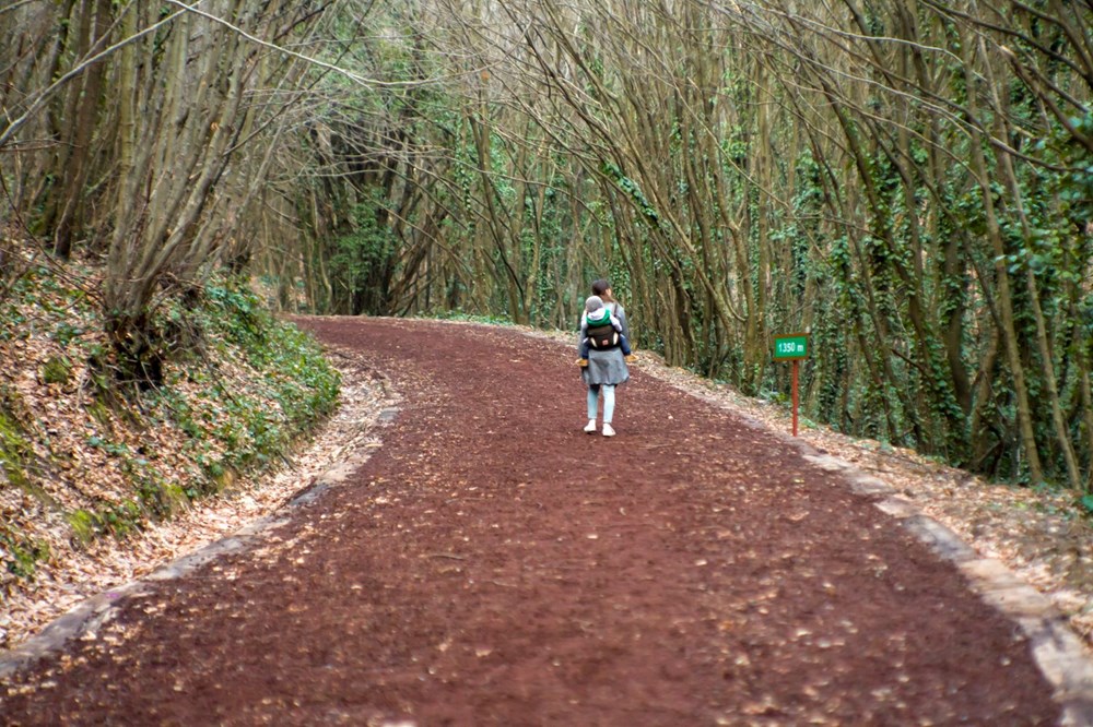 Kurban Bayramı tatilinde İstanbul'a yakın gidilecek yerler - 35
