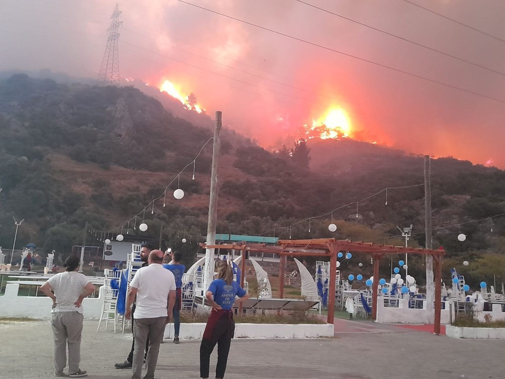 Aydın Söke'de orman yangını - 2