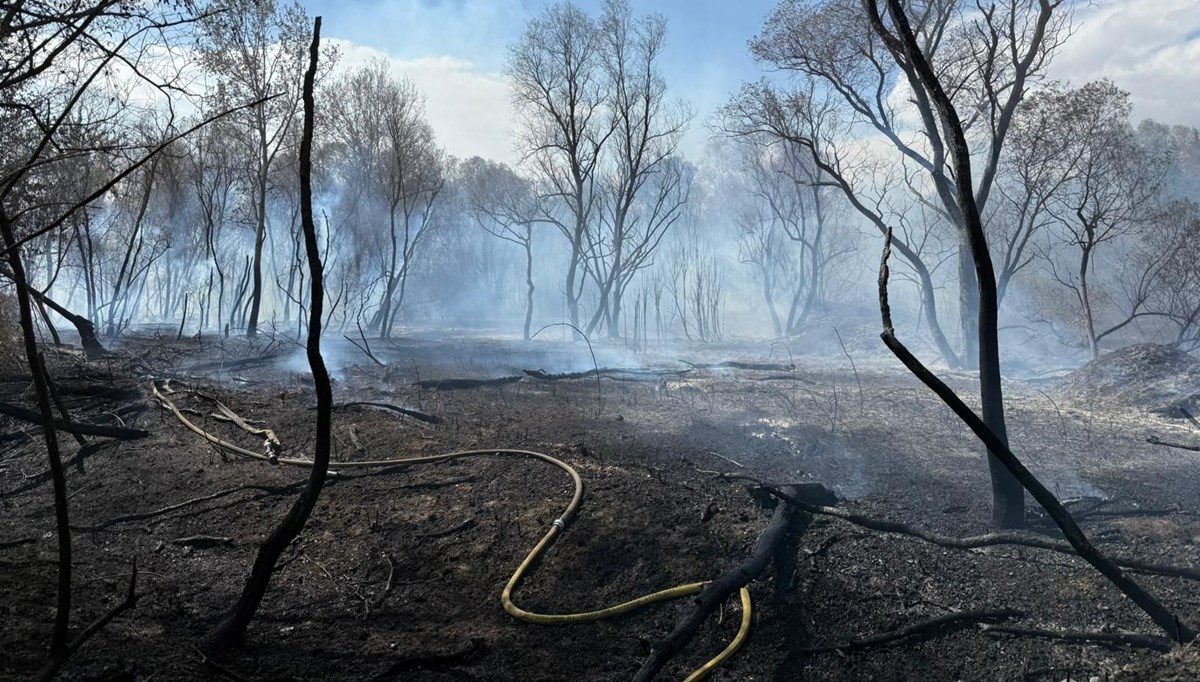 İstanbul Büyükçekmece'de korkutan yangın