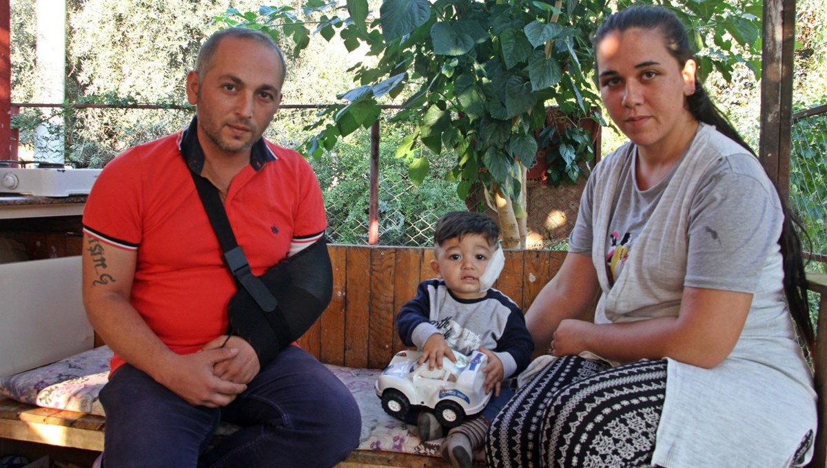 Pitbull bebek ile babasına saldırdı