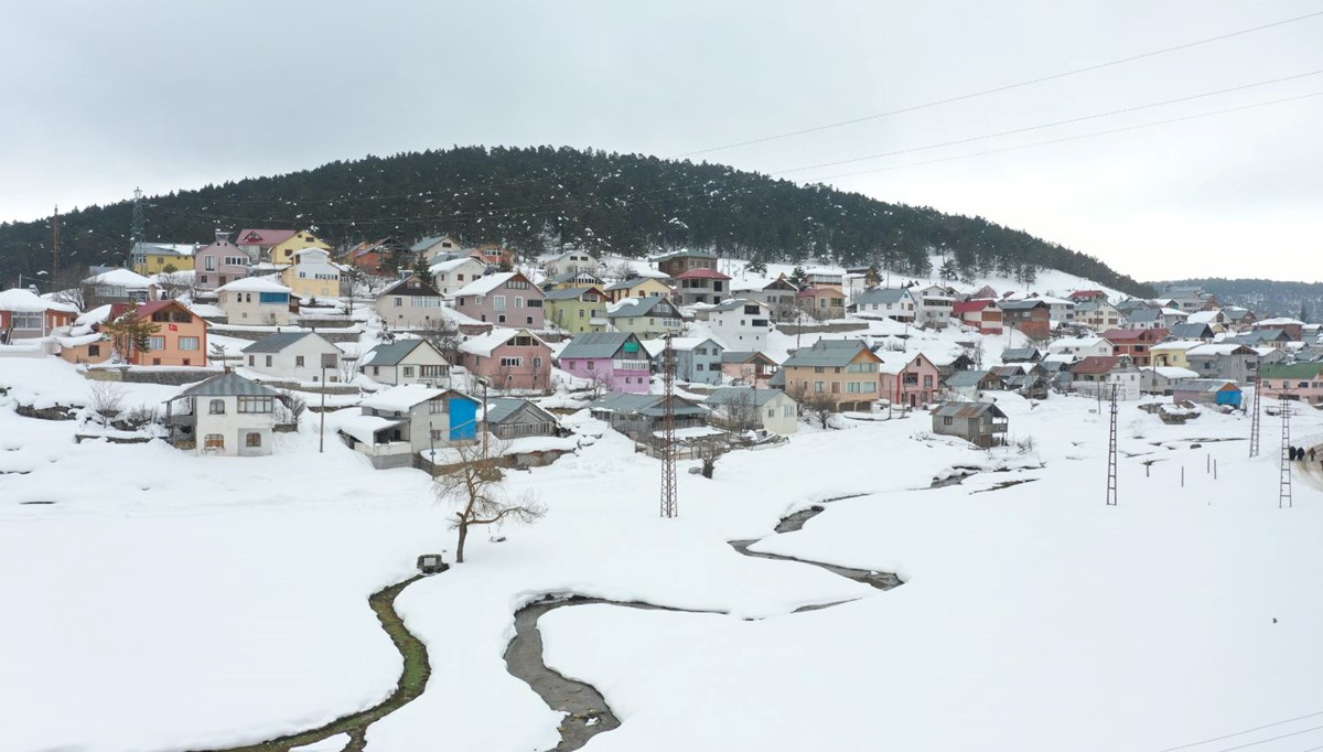 Yeşille beyazı buluşturan Eğriçimen Yaylası doğaseverlerin gözdesi