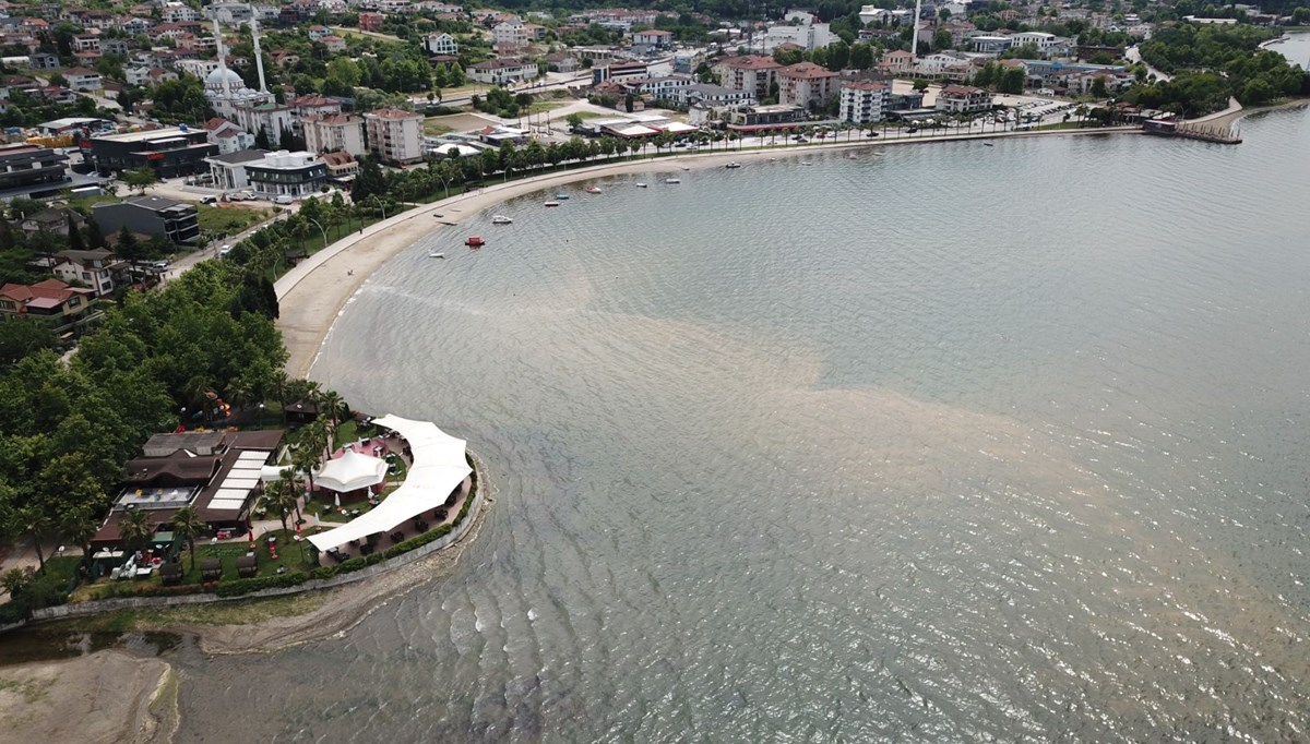 İzmit Körfezi'nde denizin rengi değişti