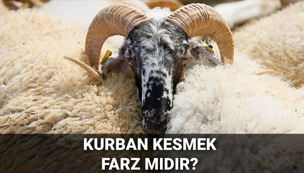 Kurban kesmek farz mı? Kurban kesmenin şartları neler? Diyanet'e göre kurban kesmenin hükmü