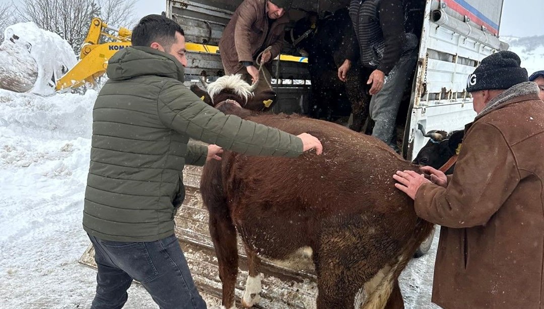 Kar yağışı hayatı olumsuz etkiledi: Besiciler yaylada mahsur kaldı!