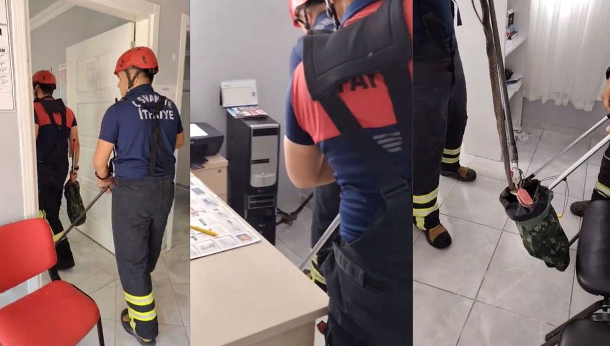 Aile sağlığı merkezinde yılan paniği Aile sağlığı merkezinde yılan paniği