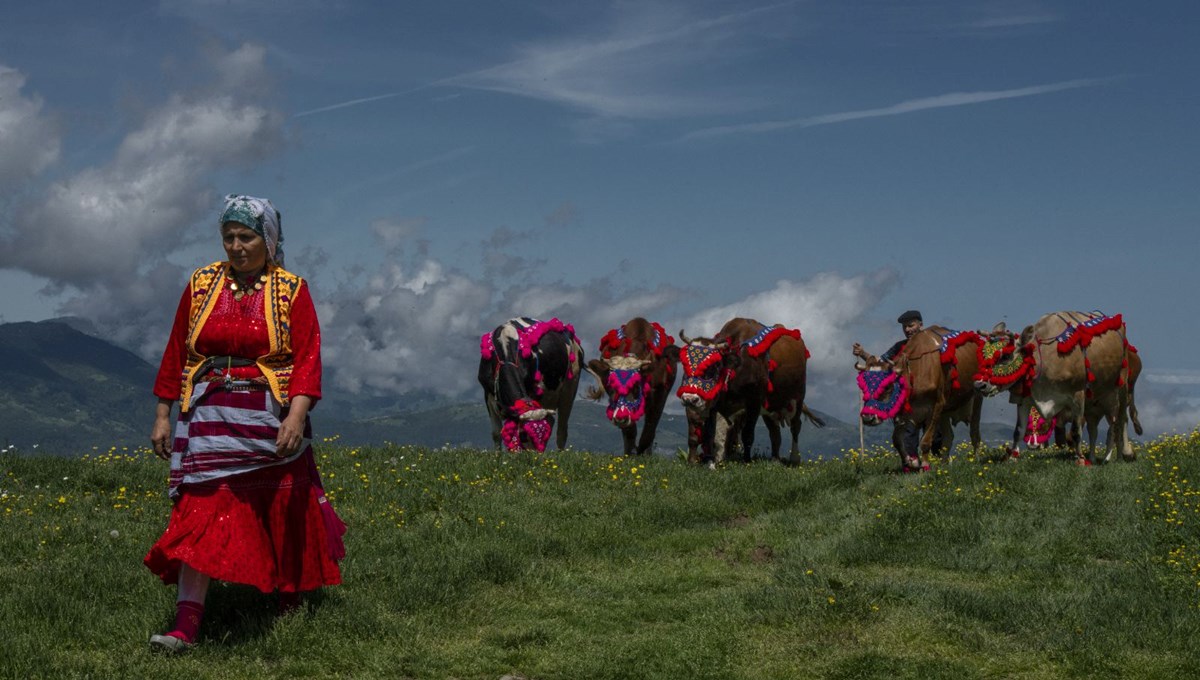 Karadeniz'de yaylacıların göç yolculuğu başladı