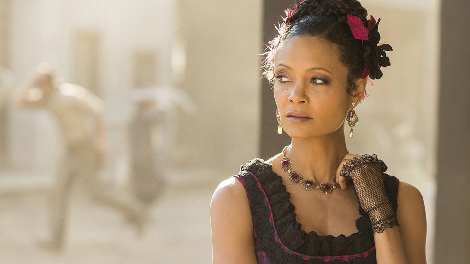 Westworld dizisi iptal edildi - 1