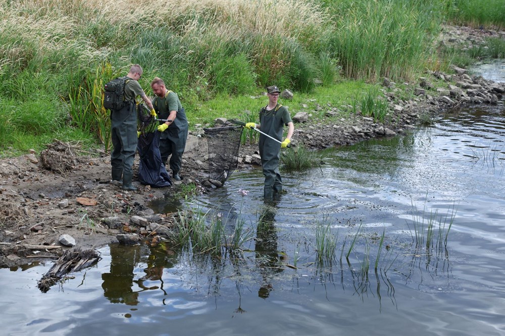 Polonya'nın Oder Nehri'nde ekolojik felaket: Binlerce balık nedeni bilinmeyen bir şekilde öldü - 11