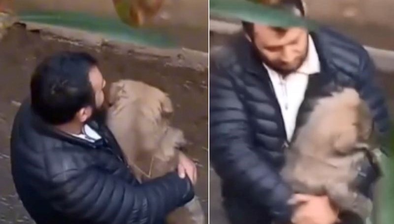 Köpeğini kurtarmak için dereye girdi! İkisi de mahsur kaldı