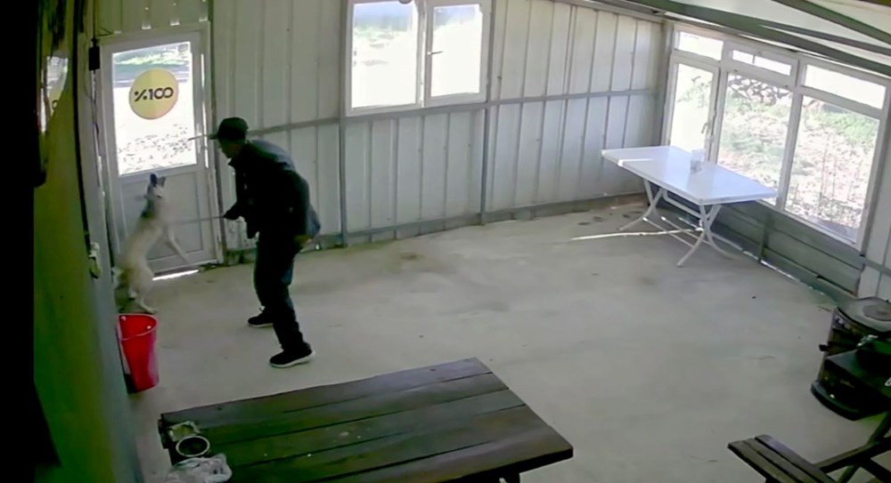 Bunun adı canilik! Bastonuyla köpeğe defalarca vurdu, "Bobi" kanlar içinde kaldı - 4