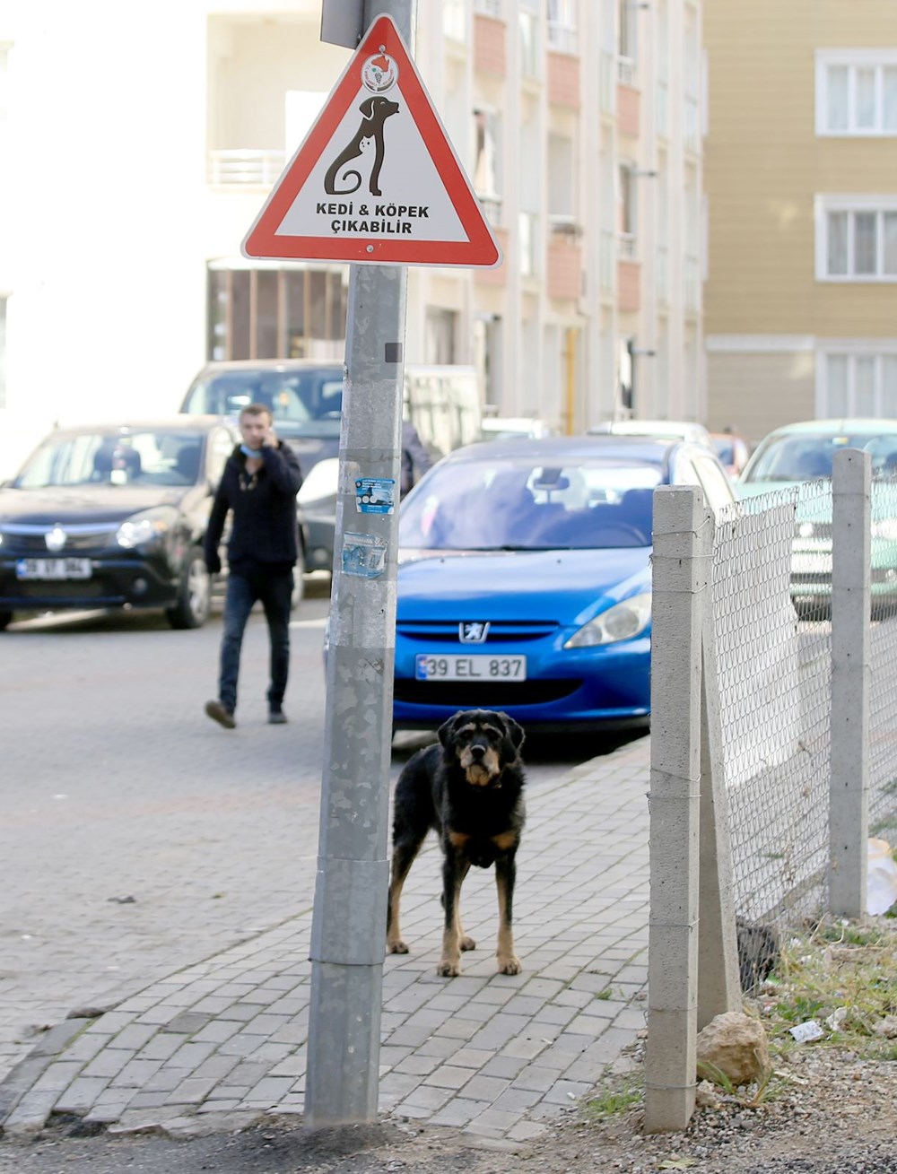 Kırklareli'nde sürücüler 'kedi-köpek çıkabilir' tabelalarıyla uyarılıyor - 6