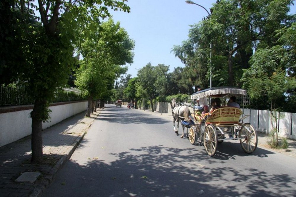 İstanbul'a yakın hafta sonu gidilebilecek yerler (İstanbul'a yakın gezilecek yerler) - 7