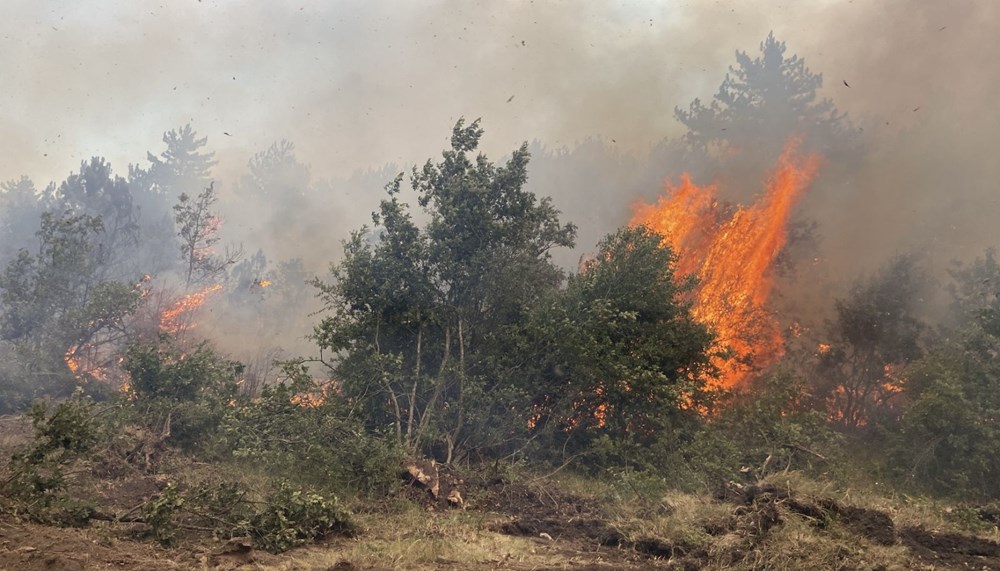 Yüreğimiz yandı: Eskişehir'deki orman yangınında 10 şehit - 2