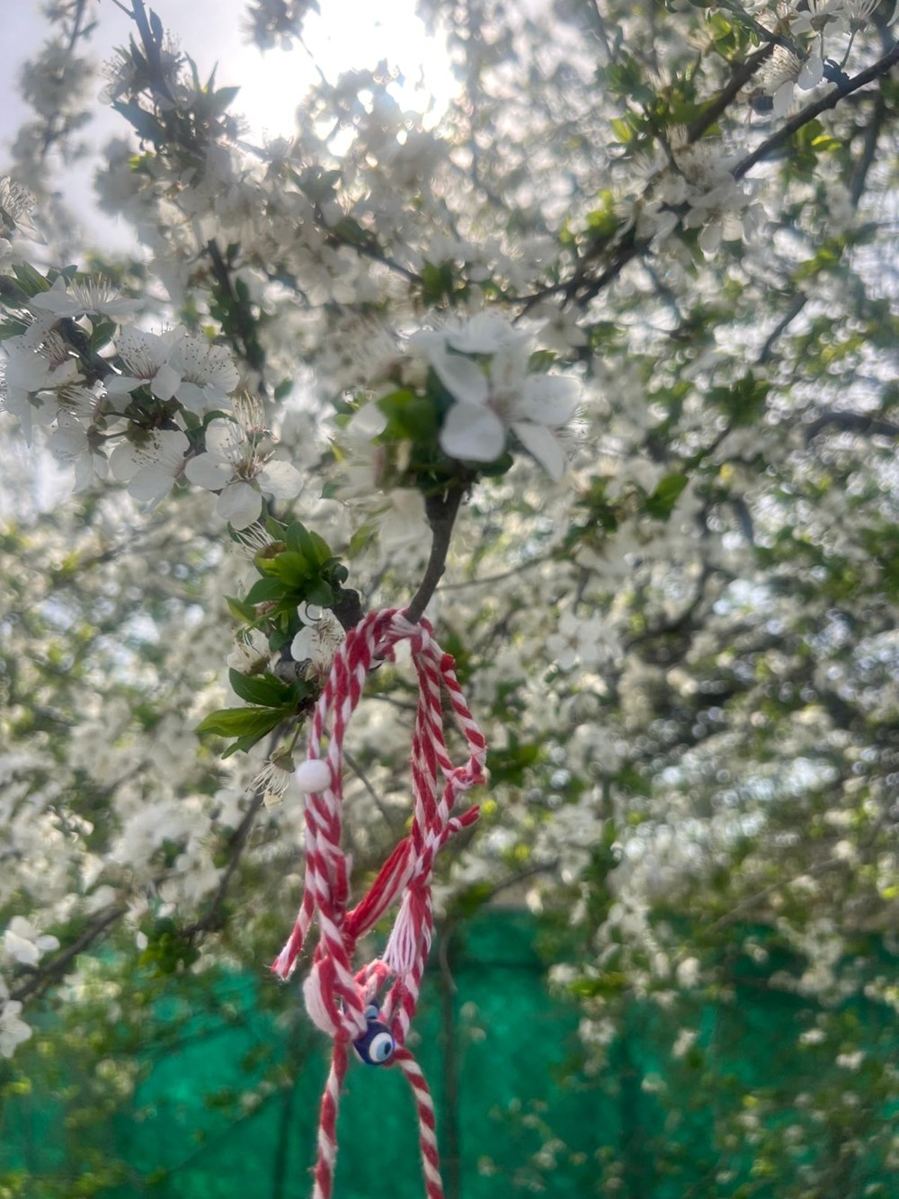 "Yareniçka" Çılgınlığı: Kökeni Marteniçka Olan Fenomene Türkiye Akın Akın Tanıklık Ediyor 77 NnBC8s0rsUOfFPSTGAbw7Q