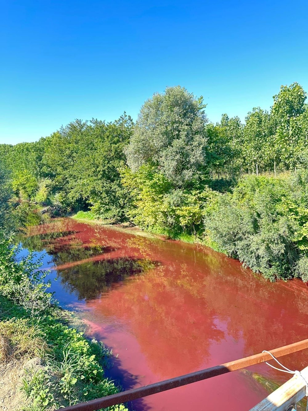 Mudurnu Çayı'nın rengi kırmızıya döndü - 3