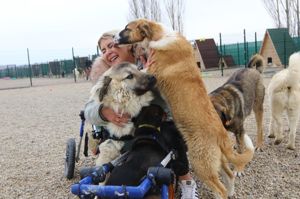 Felç geçiren babasından etkilendi, engelli köpekler için barınak kurdu
