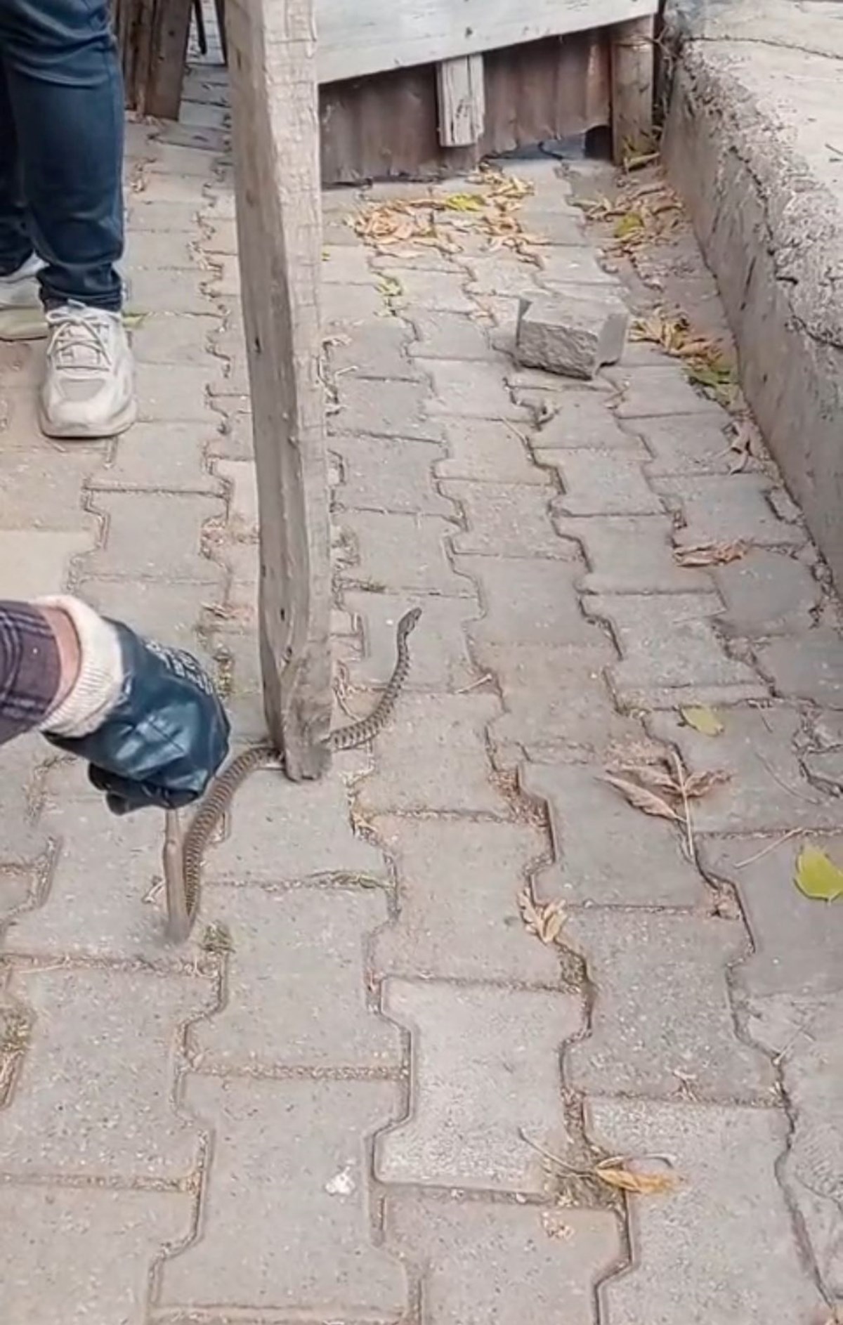 NnbHvhwCBEa7pOAfYprRGQ.jpg