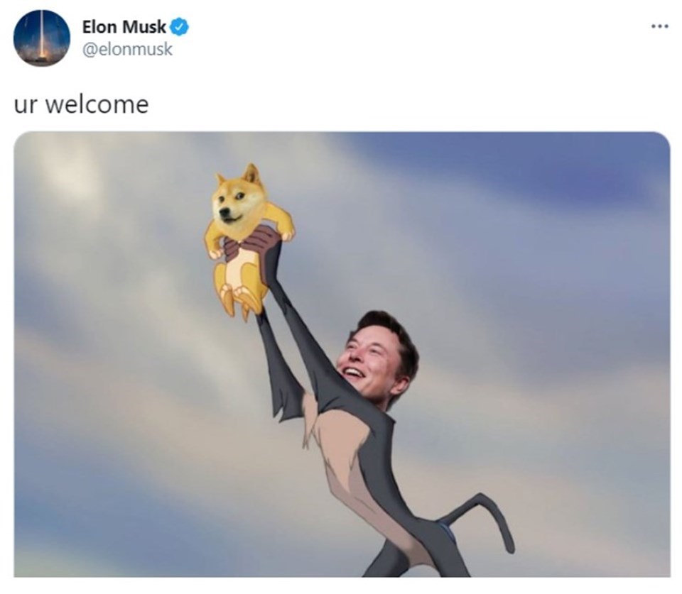 Dogecoin'lerin değeri 2,1 milyar dolar olan yüzde 28’inin bir kişiye ait olduğu ortaya çıktı: Bu kişi Elon Musk Mı? - 1