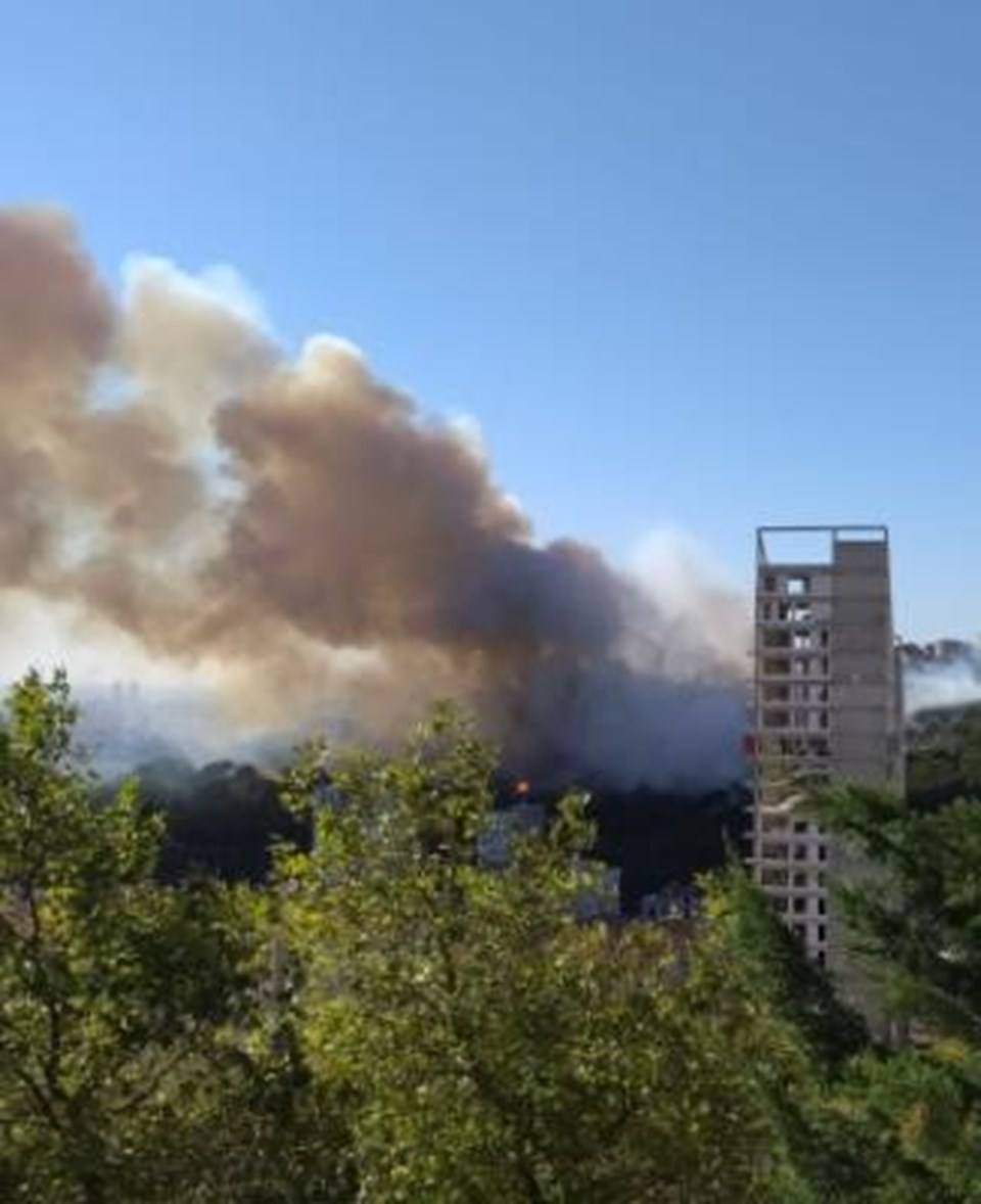 İstanbul Maltepe'de ormanlık alanda yangın - 1