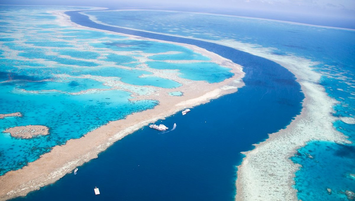 Büyük Mercan Resifi küresel ısınma nedeniyle tehlikede: Mercanların yüzde 90'ı tahrip oldu