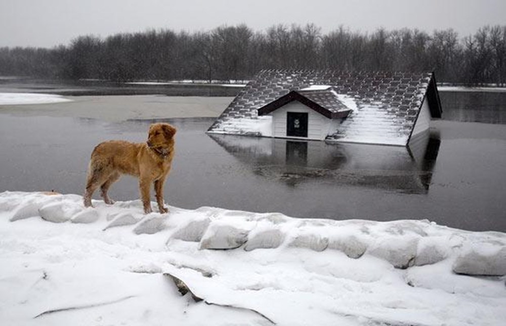 Таяние снегов наводнение. Быстрое таяние снега. Наводнения из за таяния снегов. Снежное наводнение. Снежное наводнение.