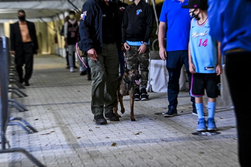 Sporda yeni dönem: Köpekler Covid-19’u kokladı, 2 bin kişimaç izledi - 7