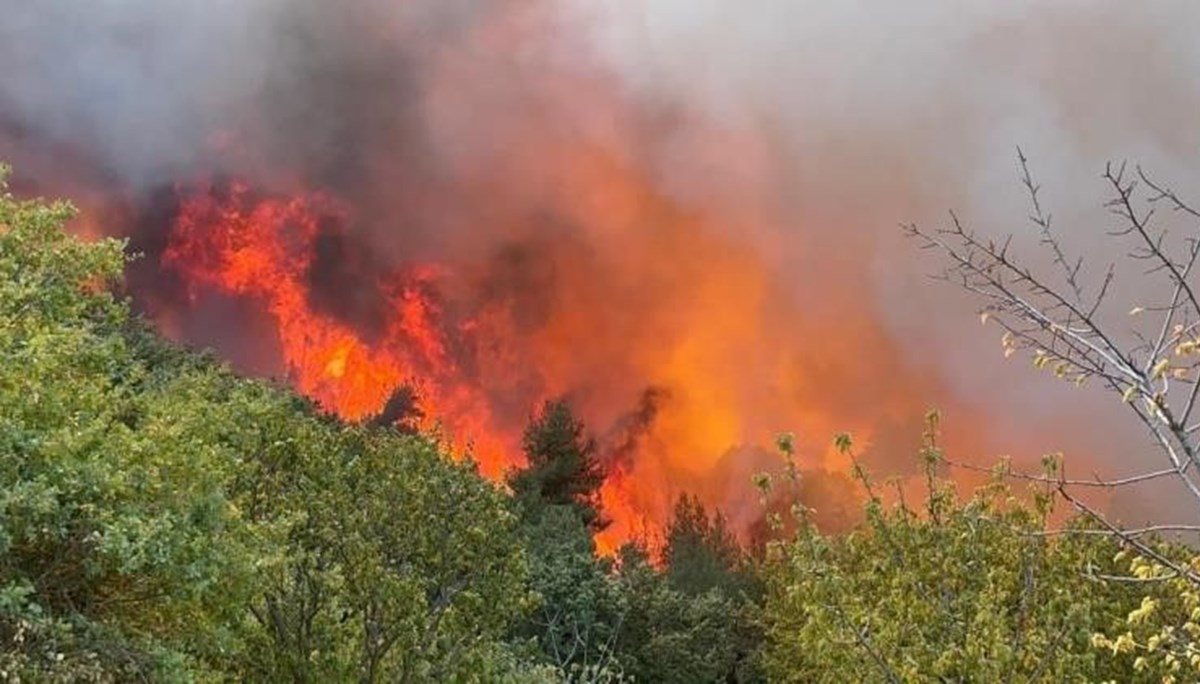 Bursa'da orman yangını