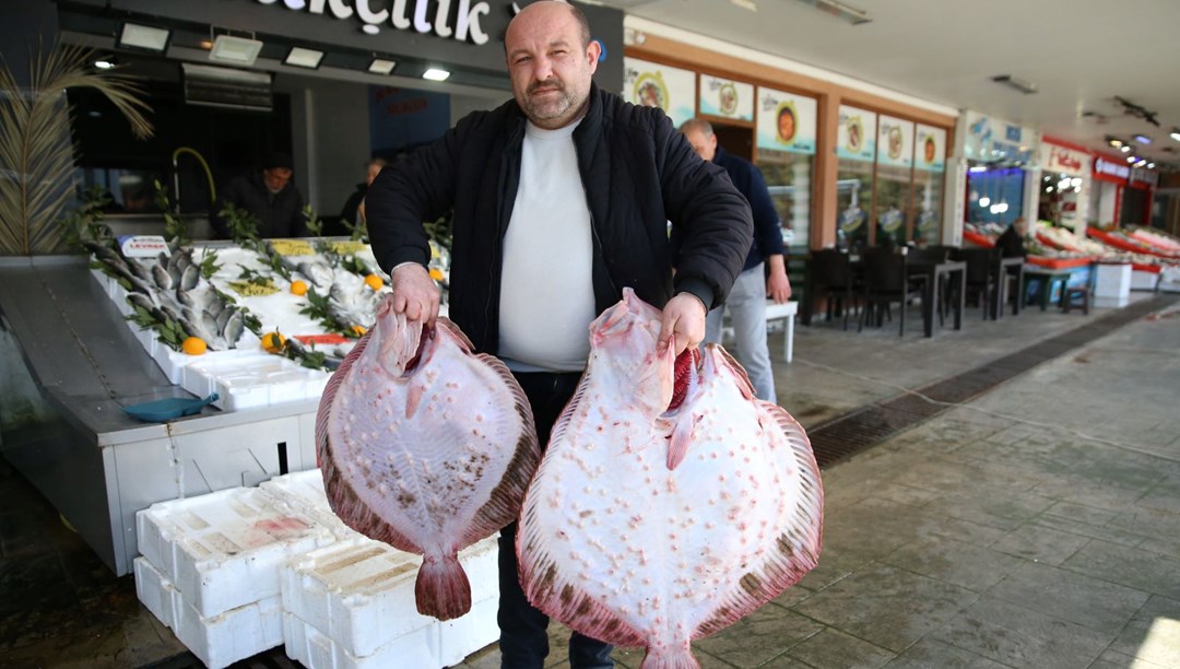 Balık tezgahlarına bereket getirdi: Kilosu 700 liradan başlıyor
