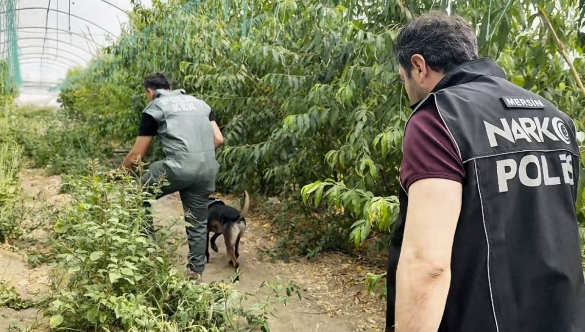 Mersin'de seraya uyuşturucu baskını
