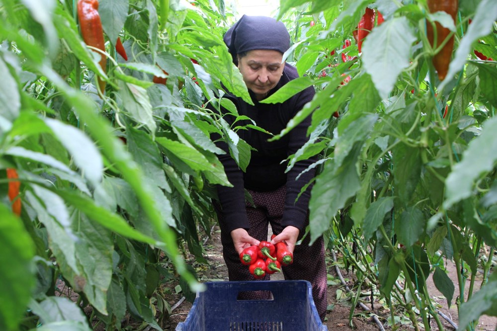 Halk arasında "kör duman" adıyla biliniyor: Senenin yarısını güneş görmeden geçiriyorlar - 7